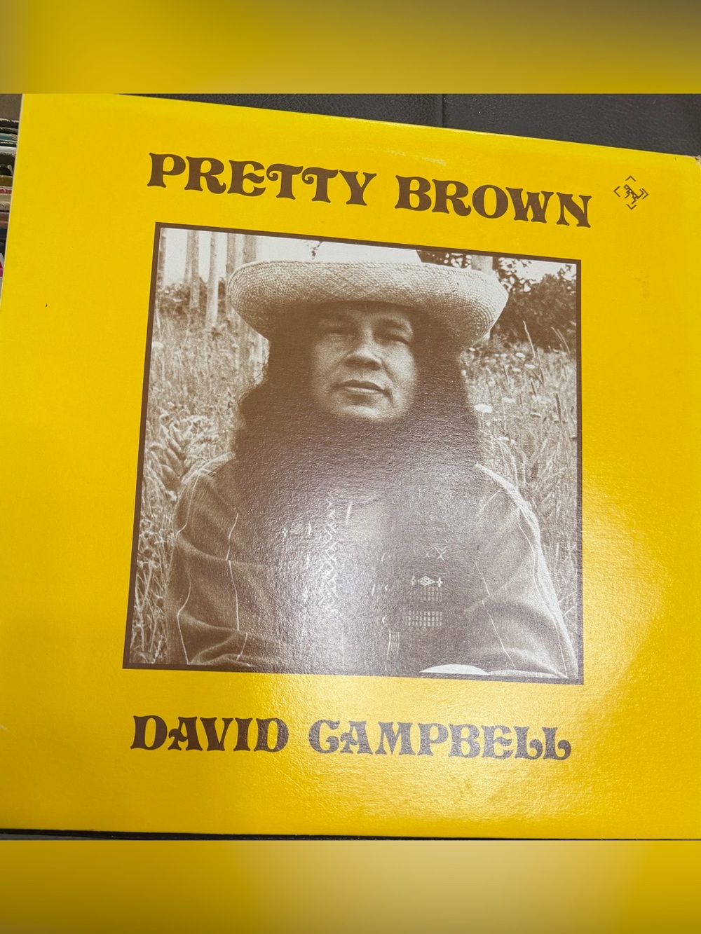 David Campbell "Pretty Brown" vinyl record LP 1977 Canada